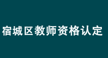 2022年宿迁市宿城区中小学教师资格认定公告